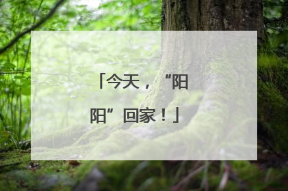 今天，“阳阳”回家！