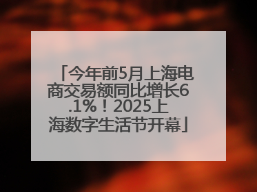 今年前5月上海电商交易额同比增长6.1%！2025上海数字生活节开幕