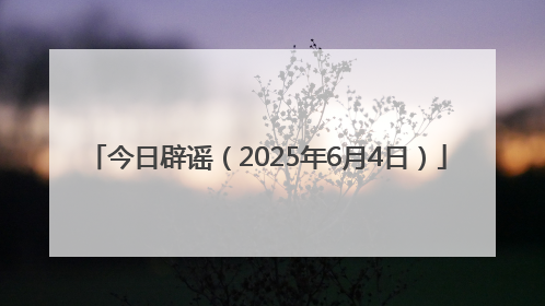 今日辟谣（2025年6月4日）