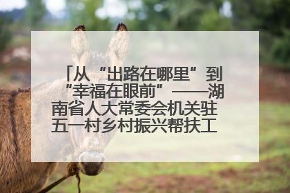 从“出路在哪里”到“幸福在眼前”——湖南省人大常委会机关驻五一村乡村振兴帮扶工作队书写振兴答卷