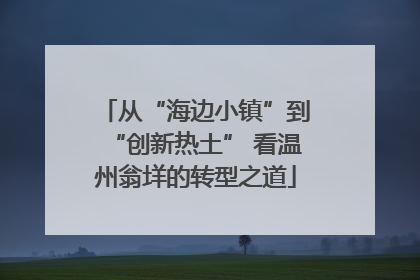 从“海边小镇”到“创新热土” 看温州翁垟的转型之道