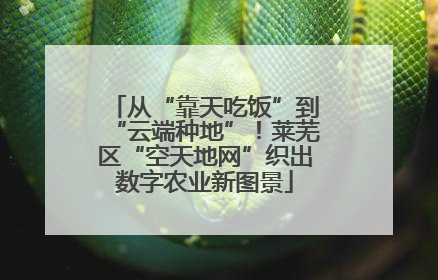 从“靠天吃饭”到“云端种地”！莱芜区“空天地网”织出数字农业新图景
