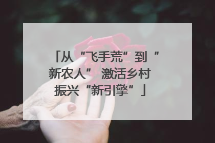 从“飞手荒”到“新农人” 激活乡村振兴“新引擎”