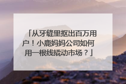 从牙缝里抠出百万用户！小鹿妈妈公司如何用一根线撬动市场？