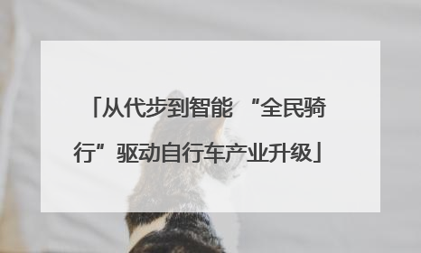 从代步到智能 “全民骑行”驱动自行车产业升级
