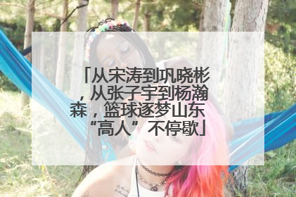 从宋涛到巩晓彬，从张子宇到杨瀚森，篮球逐梦山东“高人”不停歇