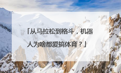 从马拉松到格斗，机器人为啥都爱搞体育？
