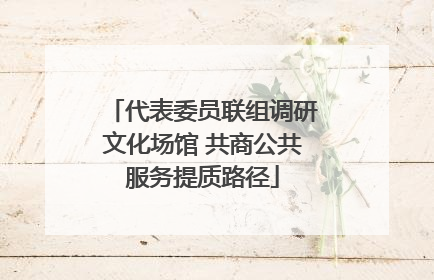 代表委员联组调研文化场馆 共商公共服务提质路径