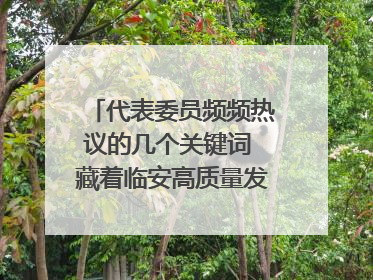 代表委员频频热议的几个关键词 藏着临安高质量发展的密码