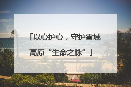 以心护心，守护雪域高原“生命之脉”