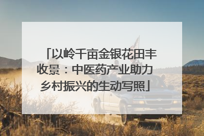 以岭千亩金银花田丰收景：中医药产业助力乡村振兴的生动写照