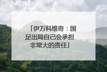 伊万科维奇：国足出局自己会承担非常大的责任