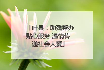 叶县：助残帮办贴心服务 温情传递社会大爱