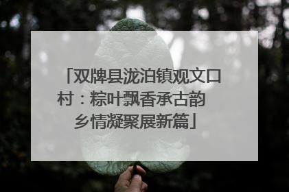 双牌县泷泊镇观文口村：粽叶飘香承古韵 乡情凝聚展新篇