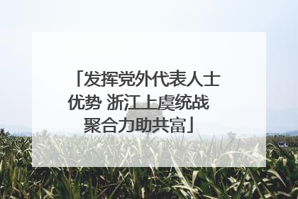 发挥党外代表人士优势 浙江上虞统战聚合力助共富