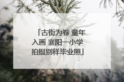 古街为卷 童年入画 襄阳一小学拍摄别样毕业照