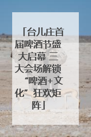 台儿庄首届啤酒节盛大启幕 三大会场解锁“啤酒+文化”狂欢矩阵