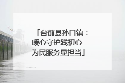 台前县孙口镇：暖心守护践初心 为民服务显担当