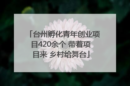 台州孵化青年创业项目420余个 带着项目来 乡村给舞台