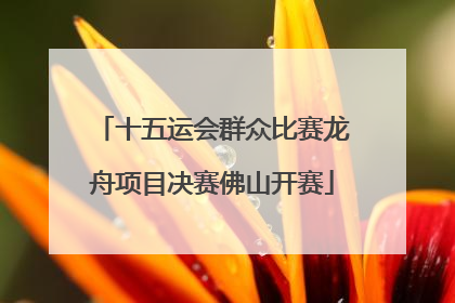 十五运会群众比赛龙舟项目决赛佛山开赛