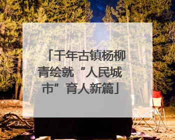 千年古镇杨柳青绘就“人民城市”育人新篇