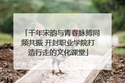 千年宋韵与青春脉搏同频共振 开封职业学院打造行走的文化课堂