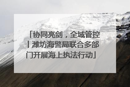 协同亮剑，全域管控丨潍坊海警局联合多部门开展海上执法行动