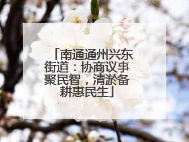 南通通州兴东街道：协商议事聚民智，清淤备耕惠民生