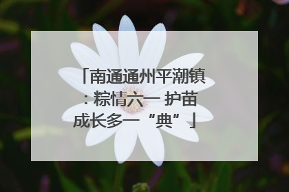 南通通州平潮镇：粽情六一 护苗成长多一“典”