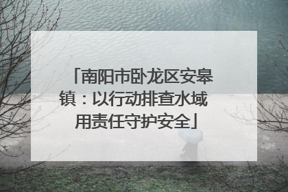 南阳市卧龙区安皋镇：以行动排查水域 用责任守护安全
