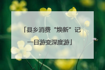县乡消费“焕新”记 一日游变深度游