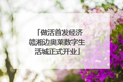 做活首发经济 赣湘边奥莱数字生活城正式开业