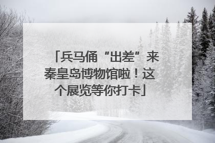 兵马俑“出差”来秦皇岛博物馆啦！这个展览等你打卡