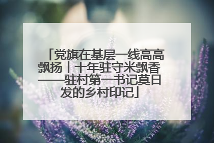 党旗在基层一线高高飘扬丨十年驻守米飘香——驻村第一书记莫日发的乡村印记