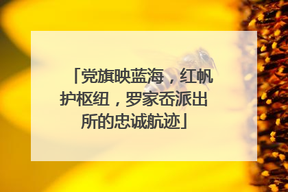 党旗映蓝海，红帆护枢纽，罗家岙派出所的忠诚航迹