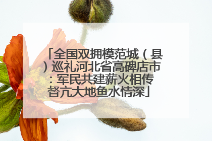 全国双拥模范城（县）巡礼河北省高碑店市：军民共建薪火相传 督亢大地鱼水情深