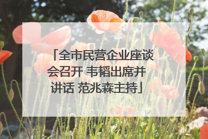 全市民营企业座谈会召开 韦韬出席并讲话 范兆森主持