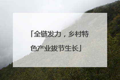 全链发力，乡村特色产业拔节生长