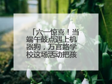六一惊喜！当端午鼓点遇上机器狗，万官路学校这场活动把孩子们看呆啦→