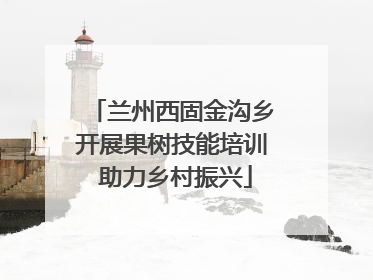 兰州西固金沟乡开展果树技能培训 助力乡村振兴