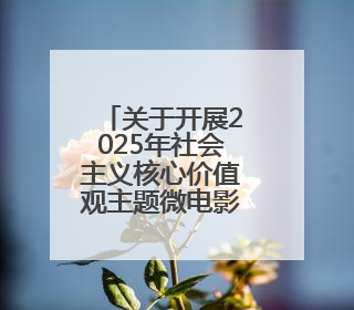 关于开展2025年社会主义核心价值观主题微电影（微视频）征集展示活动的公告