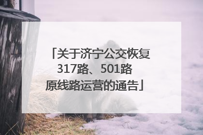 关于济宁公交恢复317路、501路原线路运营的通告