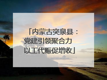 内蒙古突泉县：党建引领聚合力 以工代赈促增收