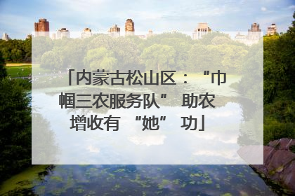 内蒙古松山区：“巾帼三农服务队” 助农增收有 “她” 功