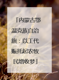 内蒙古鄂温克族自治旗：以工代赈托起农牧民增收梦