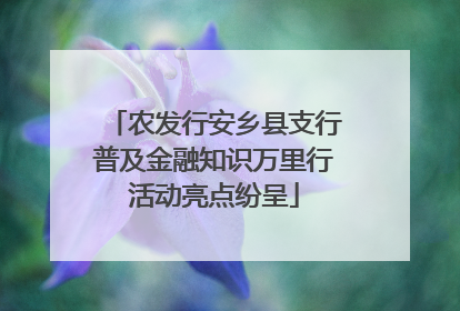 农发行安乡县支行普及金融知识万里行活动亮点纷呈