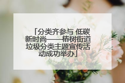 分类齐参与 低碳新时尚——椿树街道垃圾分类主题宣传活动成功举办