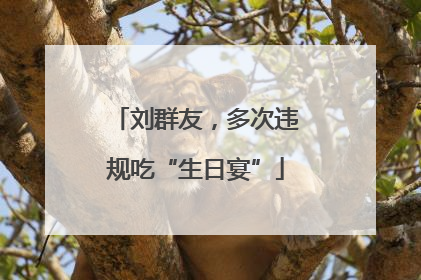 刘群友，多次违规吃“生日宴”