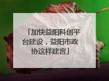 加快益阳科创平台建设，益阳市政协这样建言