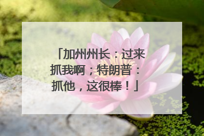 加州州长：过来抓我啊；特朗普：抓他，这很棒！